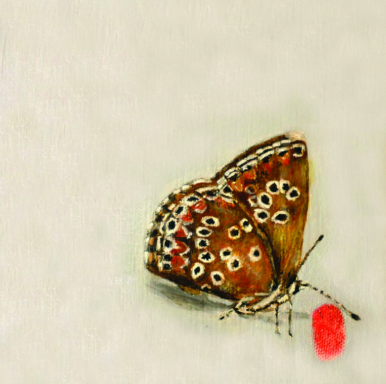 ANGELICA MEDRANO